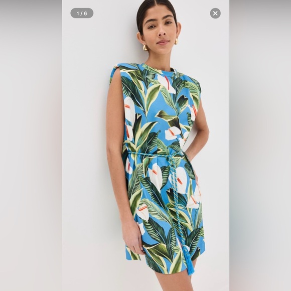 FARM Rio Dresses & Skirts - Farm Rio Anthurium Garden Blue Mini T-Shirt Dress - NWT